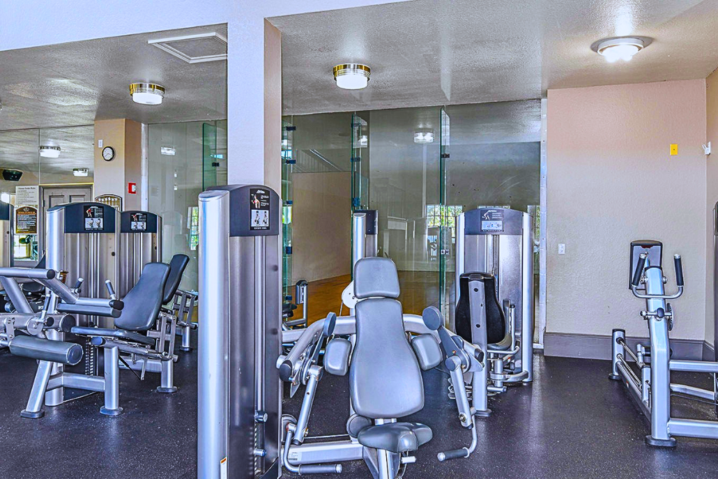 2026 Belmont Fitness Center Equipment